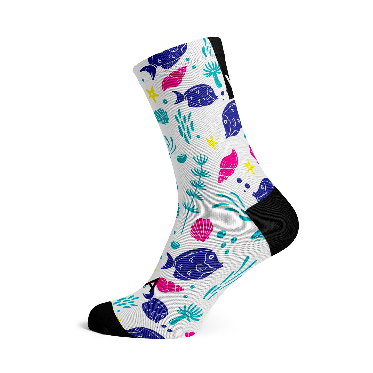 Colorful SeaSole